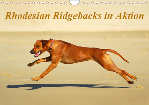 Rhodesian Ridgebacks in AktionAT-Version (Wandkalender 2020 DIN A4 quer) von van Wyk - www.germanpix.net,  Anke