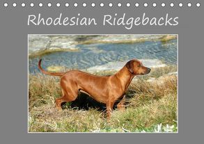 Rhodesian Ridgebacks (Tischkalender 2019 DIN A5 quer) von van Wyk - www.germanpix.net,  Anke