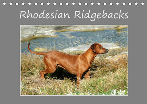 Rhodesian Ridgebacks (Tischkalender 2020 DIN A5 quer) von van Wyk - www.germanpix.net,  Anke