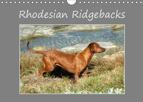 Rhodesian Ridgebacks (Wandkalender 2019 DIN A4 quer) von van Wyk - www.germanpix.net,  Anke