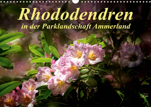 Rhododendren in der Parklandschaft Ammerland / Geburtstagskalender (Wandkalender 2021 DIN A3 quer) von Roder,  Peter