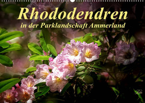 Rhododendren in der Parklandschaft Ammerland / Geburtstagskalender (Wandkalender 2022 DIN A2 quer) von Roder,  Peter