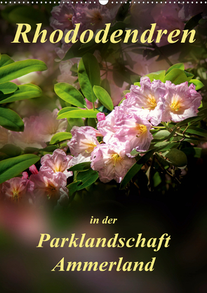 Rhododendren in der Parklandschaft Ammerland / Planer (Wandkalender 2021 DIN A2 hoch) von Roder,  Peter