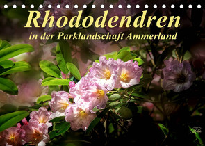 Rhododendren in der Parklandschaft Ammerland (Tischkalender 2022 DIN A5 quer) von N.,  N.