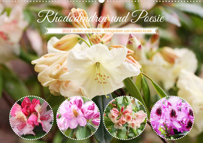 Rhododendren und Poesie (Wandkalender 2023 DIN A2 quer) von Kruse,  Gisela