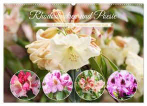 Rhododendren und Poesie (Wandkalender 2024 DIN A2 quer), CALVENDO Monatskalender von Kruse,  Gisela