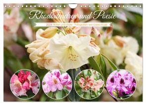 Rhododendren und Poesie (Wandkalender 2024 DIN A4 quer), CALVENDO Monatskalender von Kruse,  Gisela