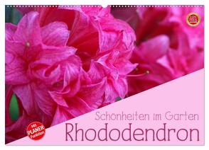 Rhododendron Schönheiten im Garten (Wandkalender 2024 DIN A2 quer), CALVENDO Monatskalender von Cross,  Martina