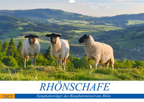 Rhönschafe – Symphatieträger des Biosphärenreservats Rhön (Wandkalender 2022 DIN A3 quer) von Hempe,  Manfred, Müller,  Arnulf