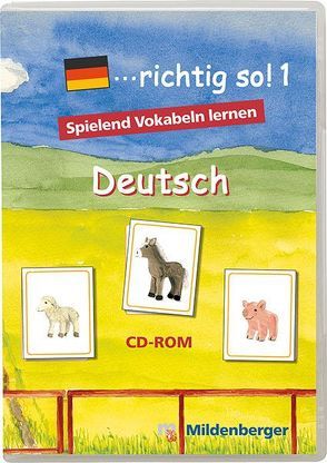 … richtig so!. Lernspiele für den Deutsch-Förderunterricht / … richtig so! 1 – Lernsoftware, Schullizenz von Kresse,  Tina, McCafferty,  Susanne