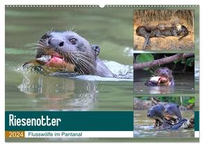 Riesenotter – Flusswölfe im Pantanal (Wandkalender 2024 DIN A2 quer), CALVENDO Monatskalender von und Yvonne Herzog,  Michael