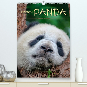 Riesenpanda (Premium, hochwertiger DIN A2 Wandkalender 2023, Kunstdruck in Hochglanz) von Roder,  Peter