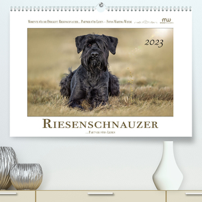 Riesenschnauzer – Partner fürs Leben (Premium, hochwertiger DIN A2 Wandkalender 2023, Kunstdruck in Hochglanz) von Wrede - Wredefotografie,  Martina