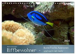 Riffbewohner – Bunte Fische, Anemonen und noch viel mehr (Wandkalender 2024 DIN A4 quer), CALVENDO Monatskalender von Schumann,  Bianca