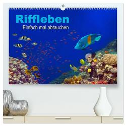 Riffleben – Einfach mal abtauchen (hochwertiger Premium Wandkalender 2024 DIN A2 quer), Kunstdruck in Hochglanz von Melz,  Tina