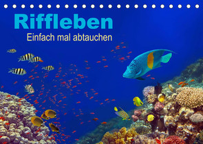 Riffleben – Einfach mal abtauchen (Tischkalender 2023 DIN A5 quer) von Melz,  Tina