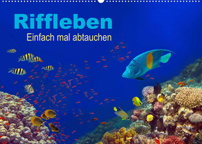 Riffleben – Einfach mal abtauchen (Wandkalender 2023 DIN A2 quer) von Melz,  Tina