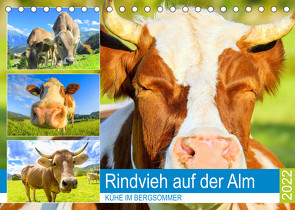 Rindvieh auf der Alm. Kühe im Bergsommer (Tischkalender 2022 DIN A5 quer) von Hurley,  Rose