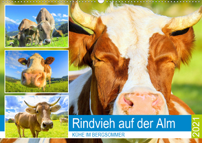 Rindvieh auf der Alm. Kühe im Bergsommer (Wandkalender 2021 DIN A2 quer) von Hurley,  Rose