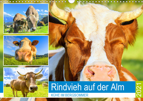 Rindvieh auf der Alm. Kühe im Bergsommer (Wandkalender 2021 DIN A3 quer) von Hurley,  Rose