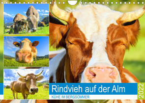 Rindvieh auf der Alm. Kühe im Bergsommer (Wandkalender 2022 DIN A4 quer) von Hurley,  Rose