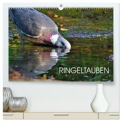 Ringeltauben (hochwertiger Premium Wandkalender 2024 DIN A2 quer), Kunstdruck in Hochglanz von Jäger,  Anette