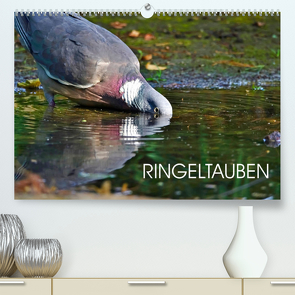 Ringeltauben (Premium, hochwertiger DIN A2 Wandkalender 2022, Kunstdruck in Hochglanz) von Jäger,  Anette