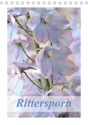 Rittersporn (Tischkalender 2020 DIN A5 hoch) von Kruse,  Gisela