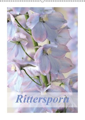 Rittersporn (Wandkalender 2018 DIN A2 hoch) von Kruse,  Gisela