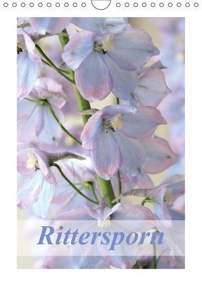 Rittersporn (Wandkalender 2018 DIN A4 hoch) von Kruse,  Gisela