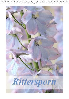 Rittersporn (Wandkalender 2019 DIN A4 hoch) von Kruse,  Gisela