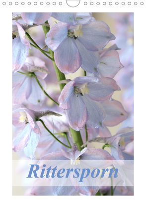 Rittersporn (Wandkalender 2020 DIN A4 hoch) von Kruse,  Gisela