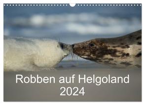 Robben auf Helgoland 2024 (Wandkalender 2024 DIN A3 quer), CALVENDO Monatskalender von Leimer,  Stefan