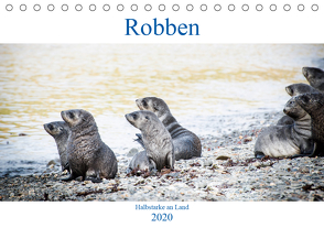 Robben – Halbstarke an Land (Tischkalender 2020 DIN A5 quer) von Siegl aka THE DUN DOG,  Nadja