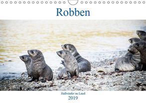 Robben – Halbstarke an Land (Wandkalender 2019 DIN A4 quer) von Siegl aka THE DUN DOG,  Nadja