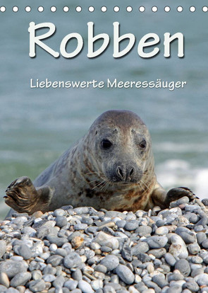 Robben (Tischkalender 2022 DIN A5 hoch) von Berg,  Martina