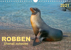 Robben – überall zuhause (Wandkalender 2021 DIN A4 quer) von Roder,  Peter