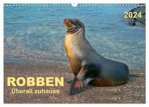 Robben – überall zuhause (Wandkalender 2024 DIN A3 quer), CALVENDO Monatskalender von Roder,  Peter