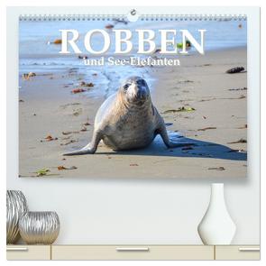 Robben und See-Elefanten (hochwertiger Premium Wandkalender 2024 DIN A2 quer), Kunstdruck in Hochglanz von Styppa,  Robert