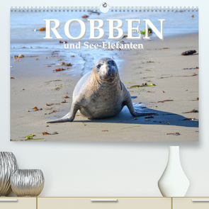 Robben und See-Elefanten (Premium, hochwertiger DIN A2 Wandkalender 2022, Kunstdruck in Hochglanz) von Styppa,  Robert