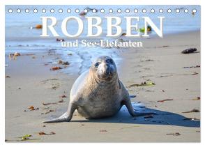 Robben und See-Elefanten (Tischkalender 2024 DIN A5 quer), CALVENDO Monatskalender von Styppa,  Robert