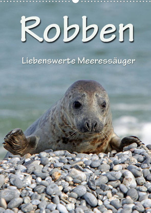 Robben (Wandkalender 2023 DIN A2 hoch) von Berg,  Martina