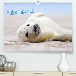 Robbenbabys (Premium, hochwertiger DIN A2 Wandkalender 2023, Kunstdruck in Hochglanz) von Sturm,  Jenny