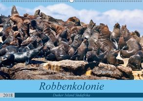 Robbenkolonie Duiker Island Südafrika (Wandkalender 2018 DIN A2 quer) von www.kult-fotos.de