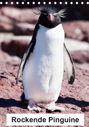 Rockende Pinguine (Tischkalender 2019 DIN A5 hoch) von Reuke,  Sabine