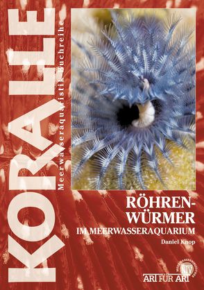 Röhrenwürmer im Meerwasseraquarium von Knop,  Daniel