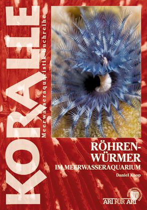 Röhrenwürmer im Meerwasseraquarium von Knop,  Daniel