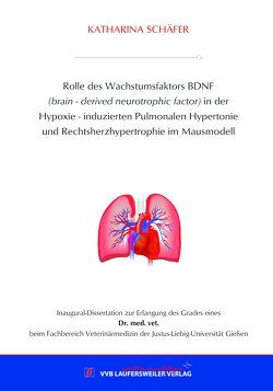 Rolle des Wachstumsfaktors BDNF (brain – derived neurotrophic factor) in der Hypoxie – induzierten Pulmonalen Hypertonie und Rechtsherzhypertrophie im Mausmodell von Schaefer,  Katharina