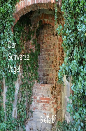 Romanreihe / Der Schwarze Vogel von B ete Ef,  Künstlername