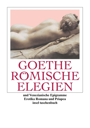 Römische Elegien und Venezianische Epigramme von Birus,  Hendrik, Eibl,  Karl, Goethe,  Johann Wolfgang